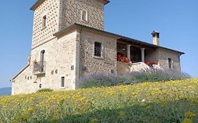 Agriturismo Torre Gialluise